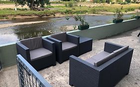 Loiseau Sur La Semois